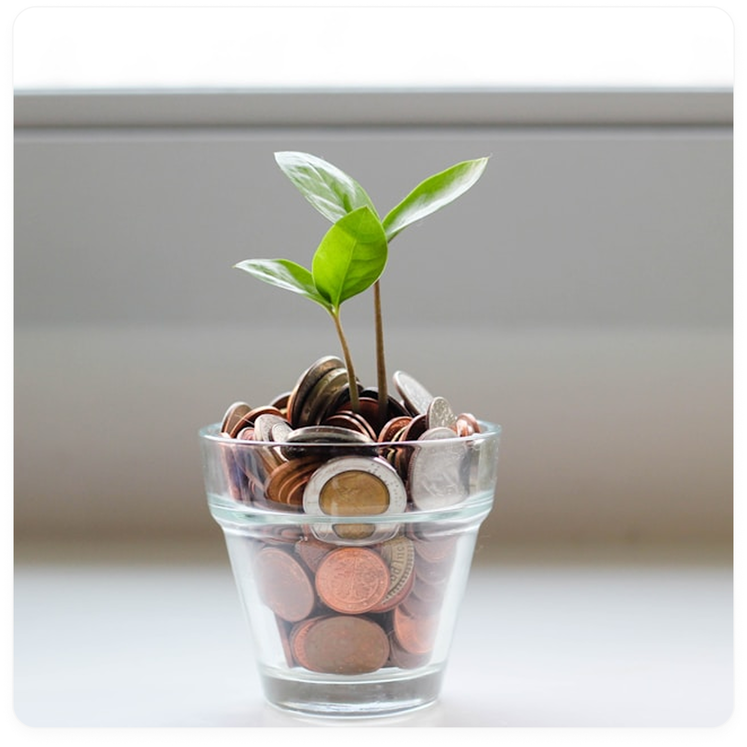 Illustration representing brand protection and long-term value